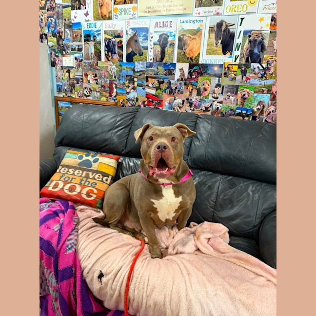 Photo of Storm