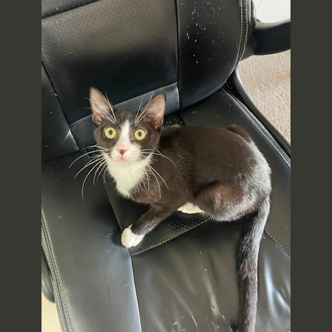 Photo of Phantom 
