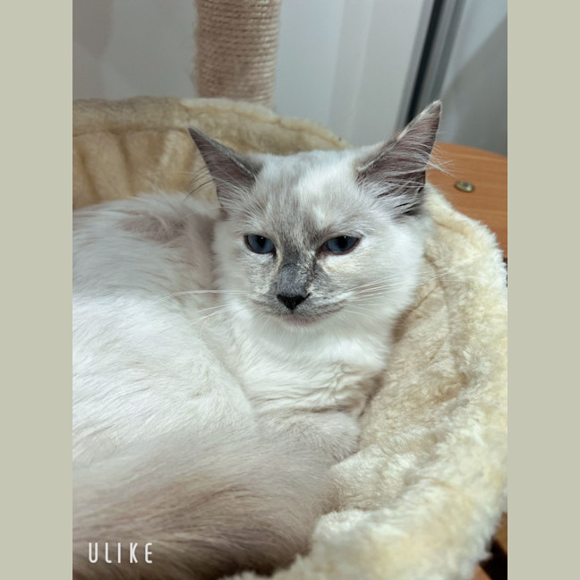 Photo of Elsa