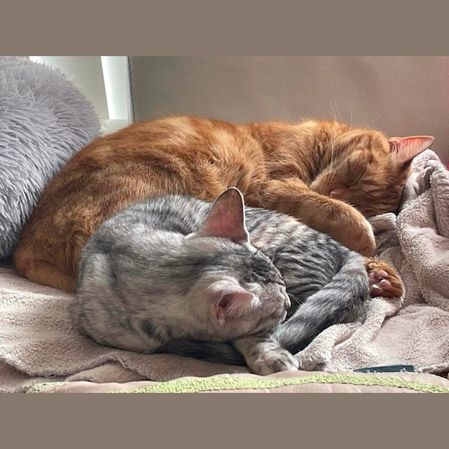 Photo of Rufus And Pandora