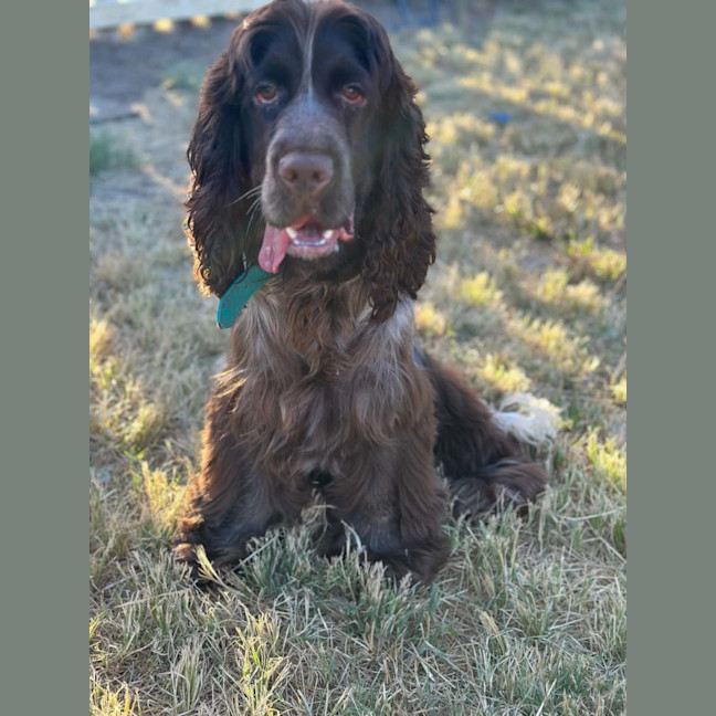 Photo of Albie