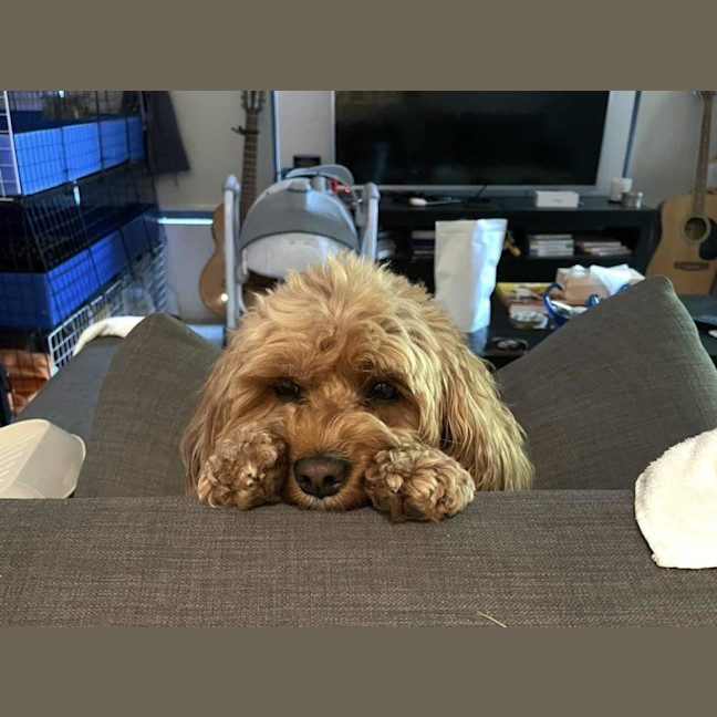 Photo of Winston Quinell