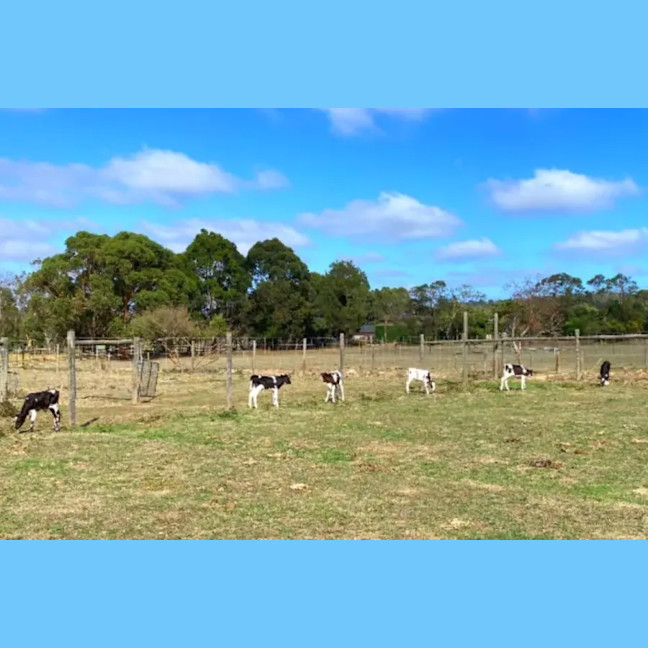 Photo of Ainsley And Ridley