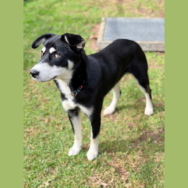 Photo of Yindi 