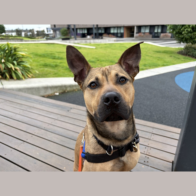 Photo of Bruce