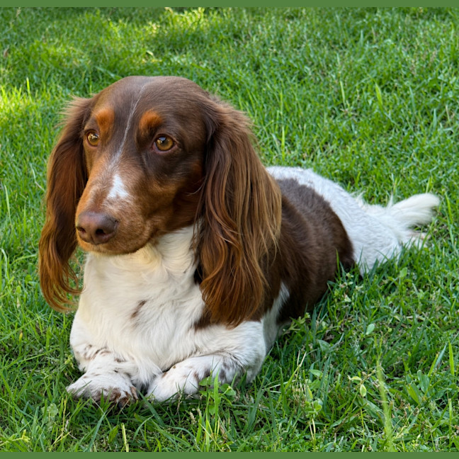 Photo of Pablo