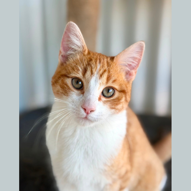 Photo of Skeeter