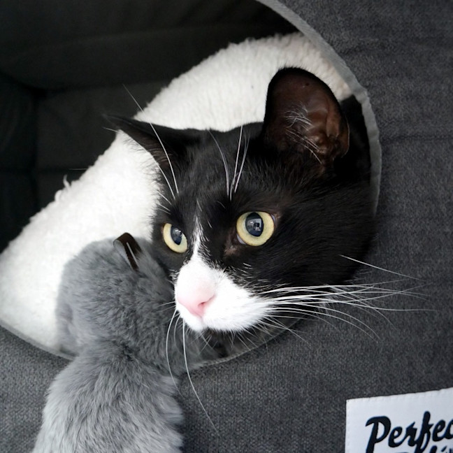 Photo of Aury Sua012964