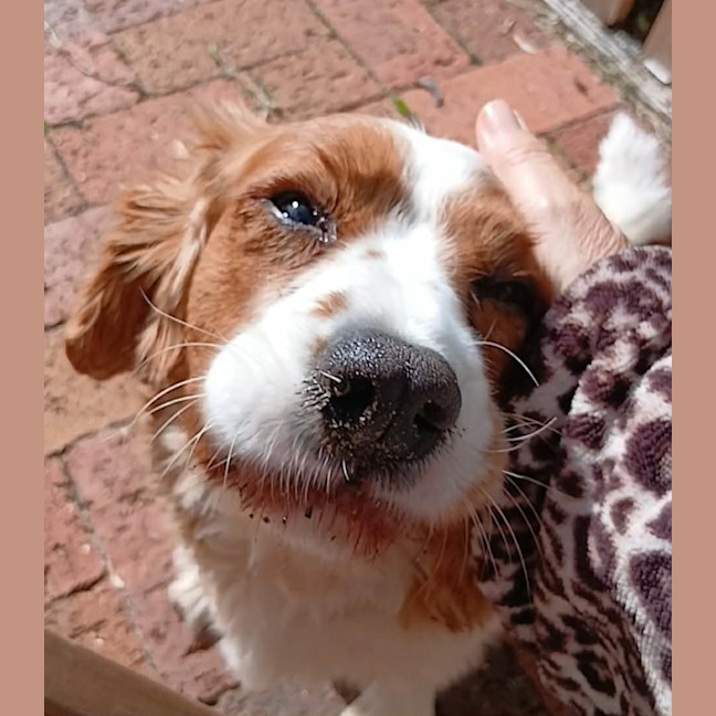 Photo of Matilda 