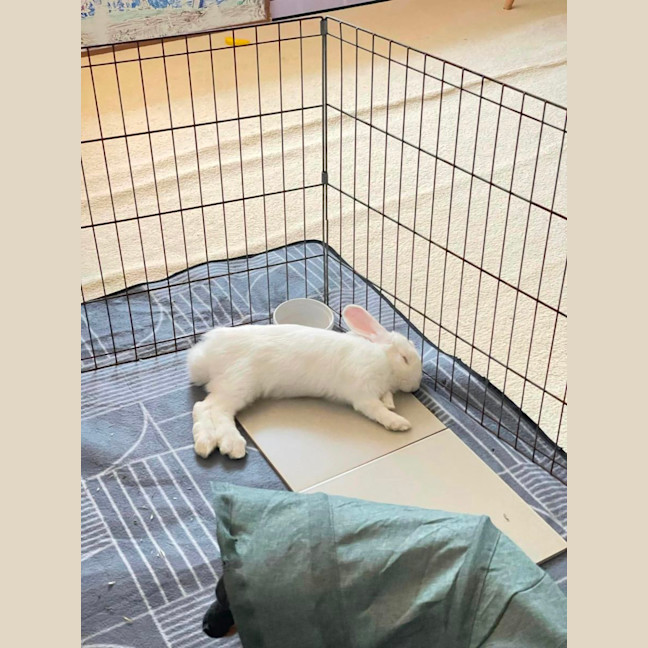 Photo of Minnie Driver