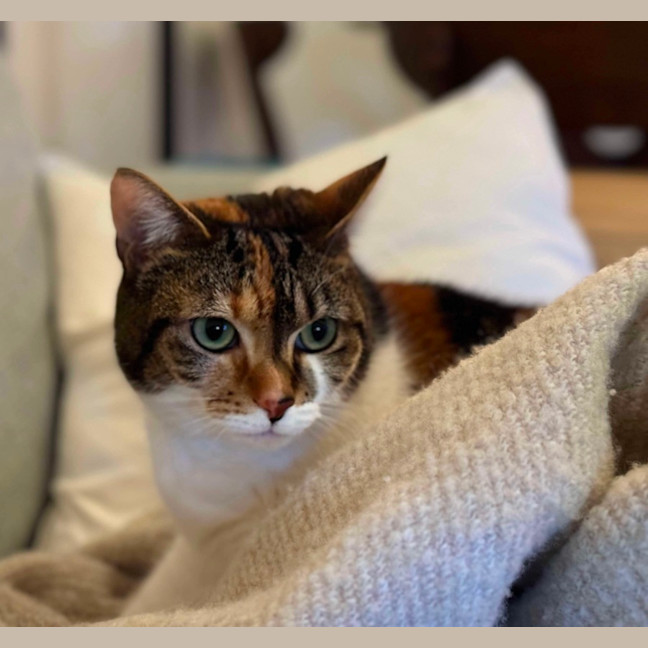 Photo of Mila 