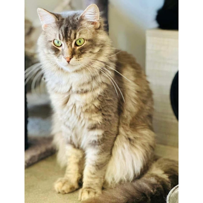 Photo of 10944   Jaspurr