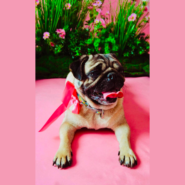 Photo of Cinderella And Ariel