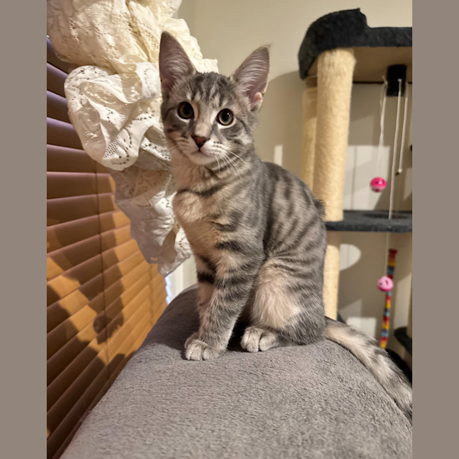 Photo of Freddie Aka Freaking Freddie