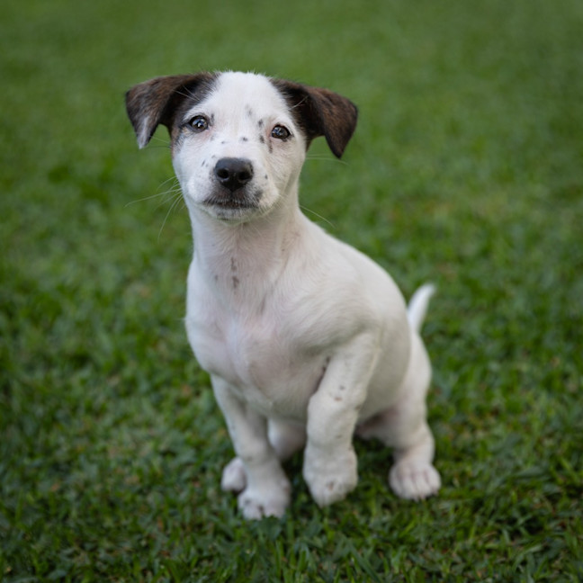 Photo of Wilma