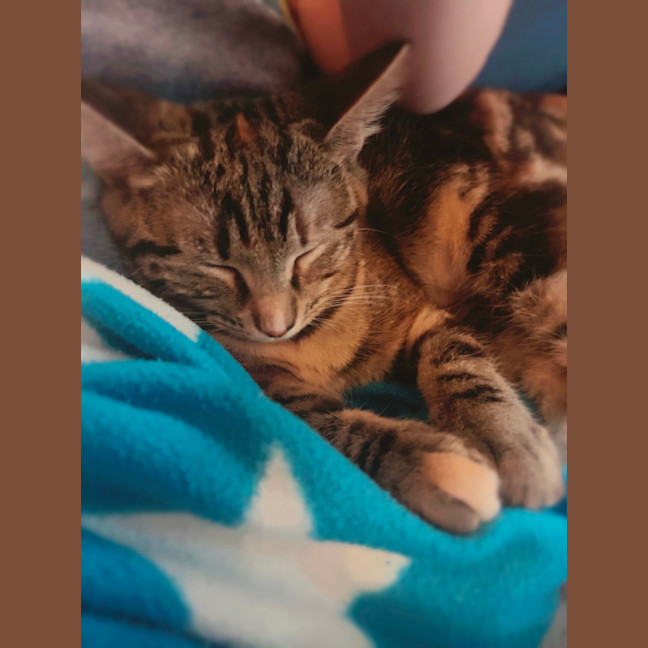 Photo of Ruby