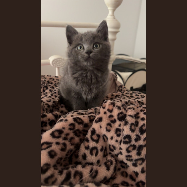 Photo of Ella Bleu