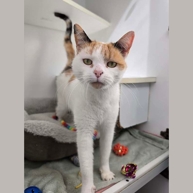 Photo of Bingo