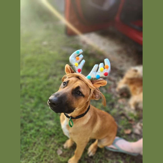 Photo of Winnie