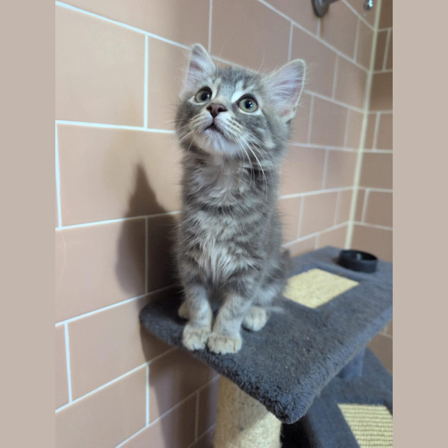 Photo of Sooty