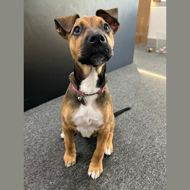 Photo of Matilda