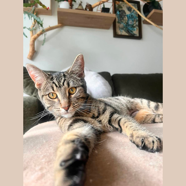 Photo of Rosie