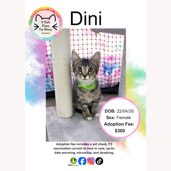 Photo of Dini
