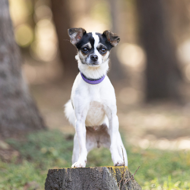 Photo of Mimi