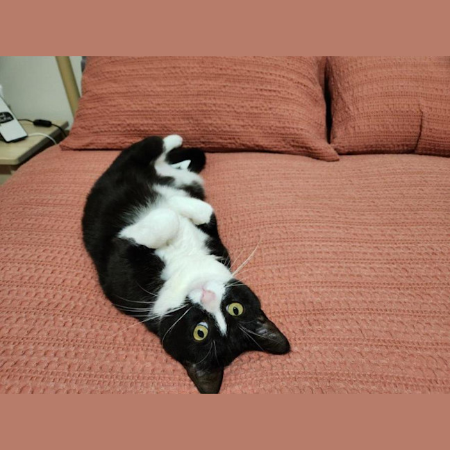 Photo of Penelope Babbington