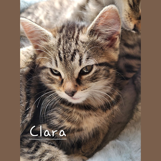 Photo of Clara