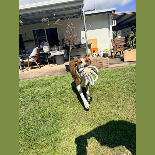 Photo of Roxie