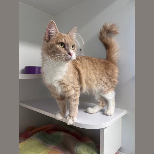 Photo of Hulda