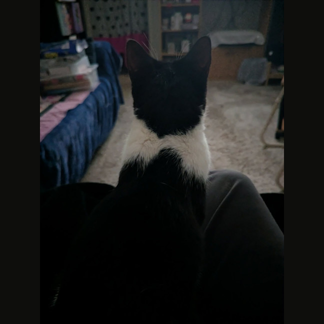 Photo of Felix