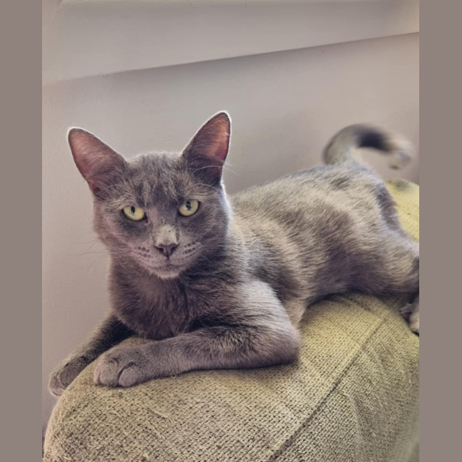 Photo of Sassy