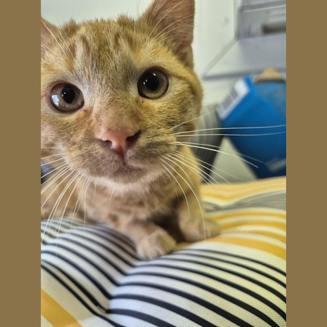 Photo of Wilma