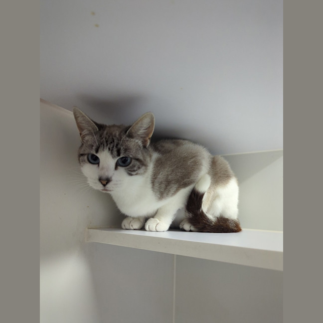 Photo of Crystal
