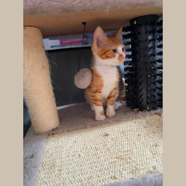 Photo of Percy