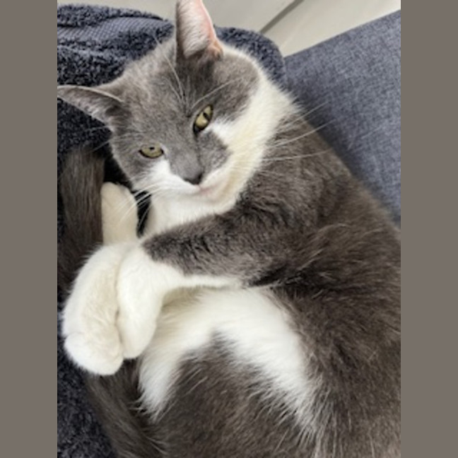 Photo of Sassy Smokey Calls The Shots