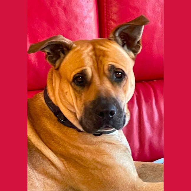 Photo of Lexi