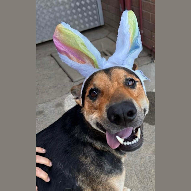 Photo of Thor