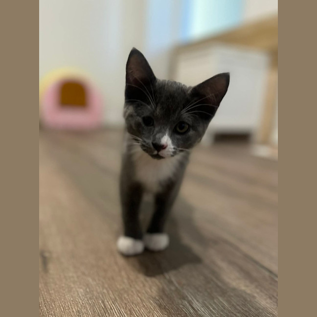 Photo of Winnie