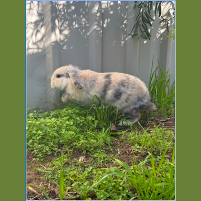 Photo of Dorothy
