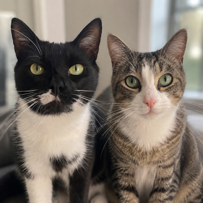Photo of Ducky & Mocha
