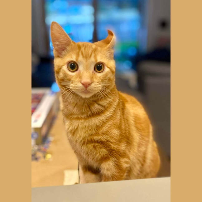 Photo of Ched & Ritz