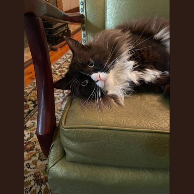 Photo of Gandalf