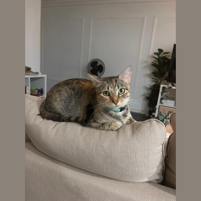 Photo of Bridgette 