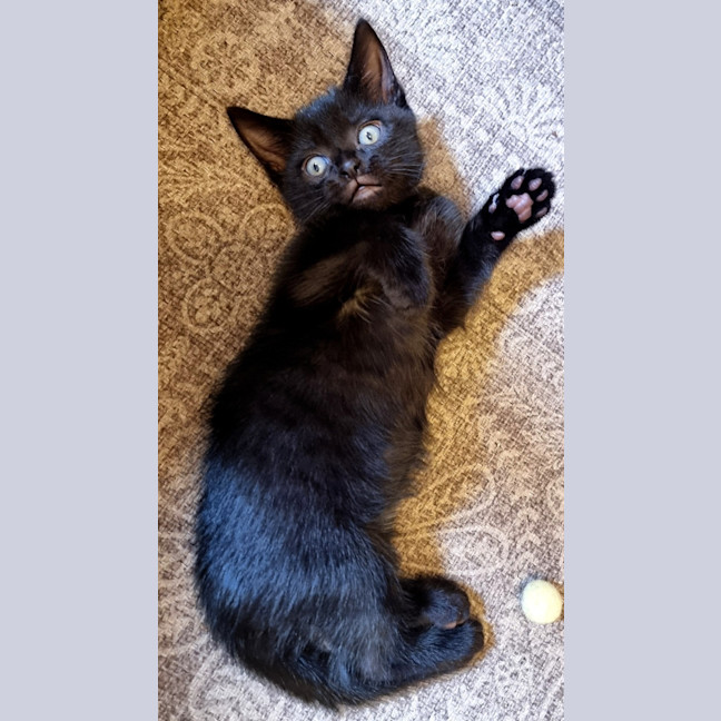 Photo of Max