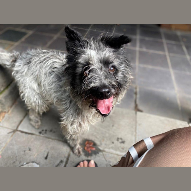 Photo of Truffles O’cleary