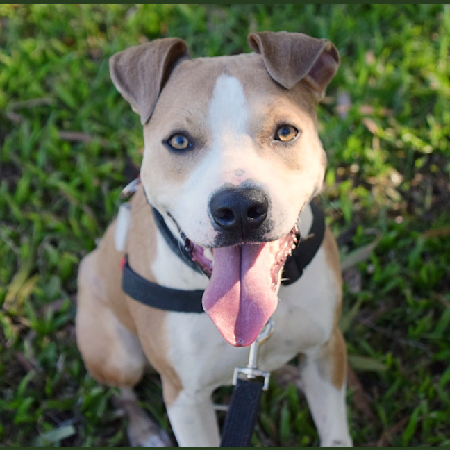 Photo of Jasper