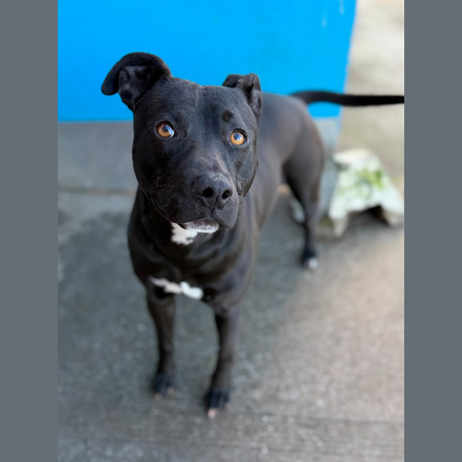 Photo of Storm